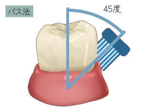 ブラッシング指導
